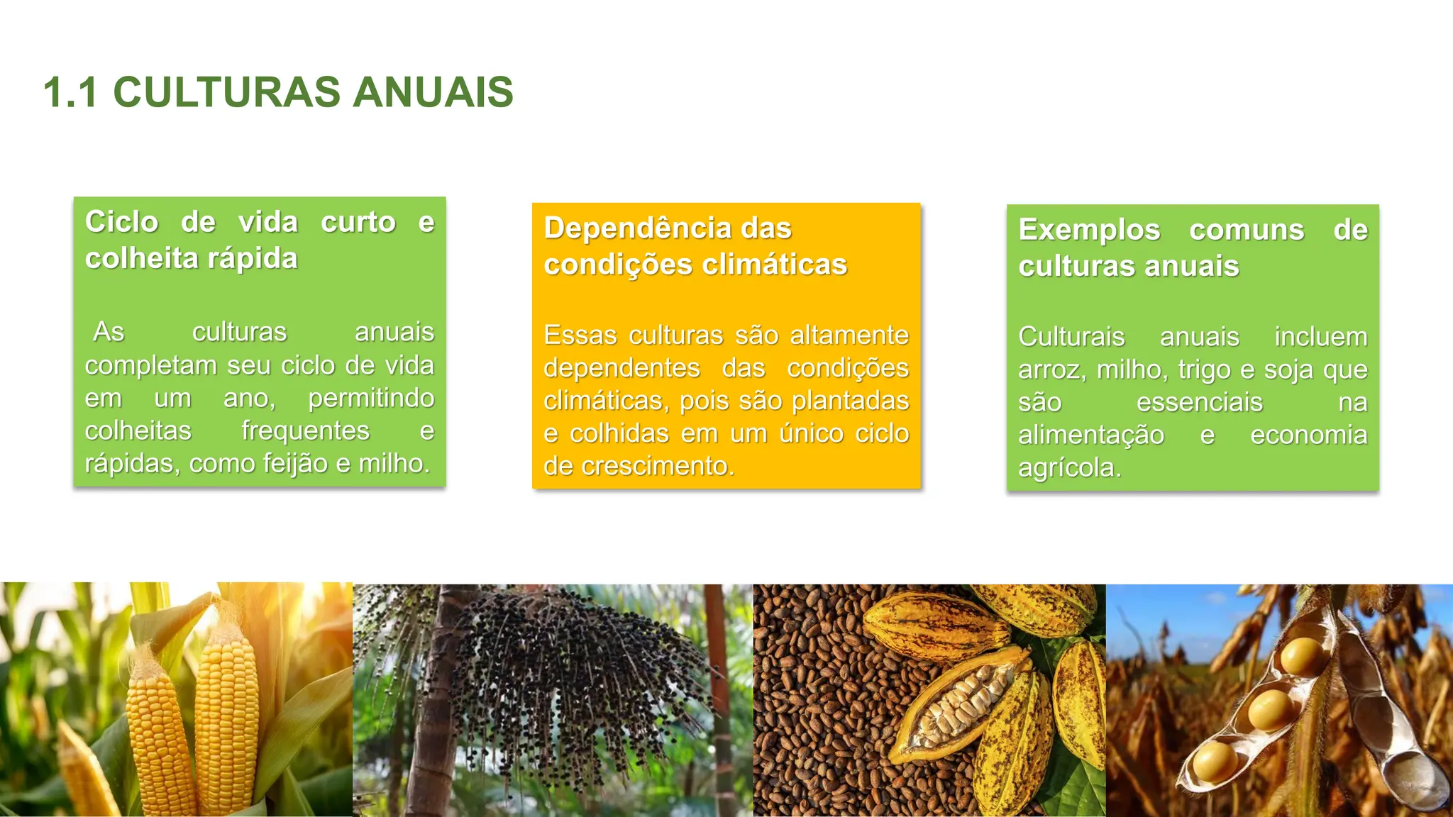 Como Escolher os Melhores Produtos de Ciclo Curto no Mercado - inspiração 2