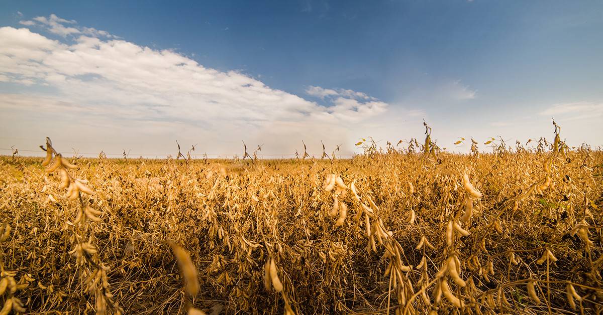 Desafios e Soluções na Produção Rápida de Alimentos - inspiração 1