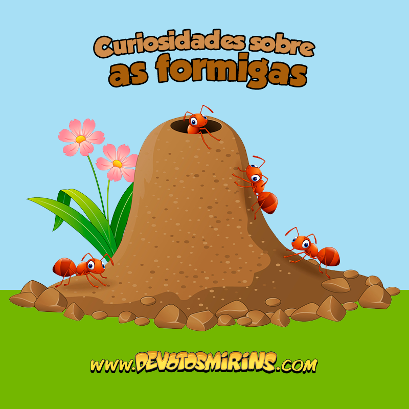 Mitos e Verdades Que Ninguém Te Contou Sobre Formigas