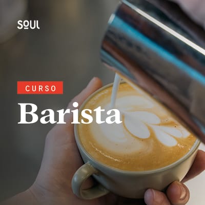 Montando seu Negócio ou Buscando Oportunidades - inspiração 2