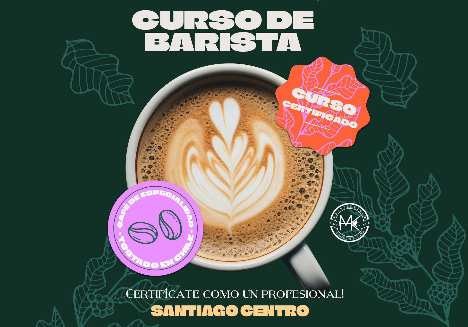 A Base de Tudo: Conhecendo os Grãos de Café - inspiração 2
