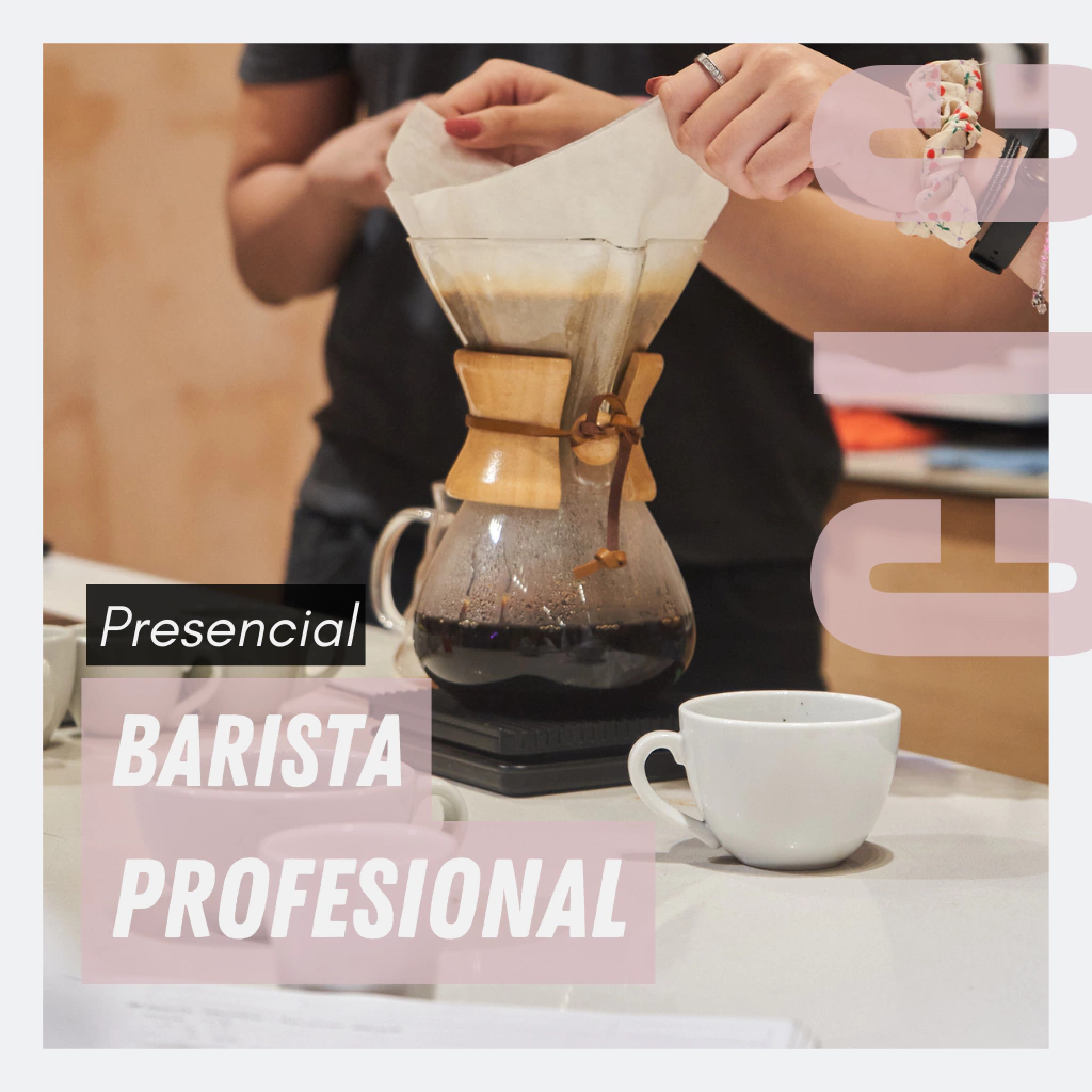 Manutenção e Limpeza: Garantindo a Qualidade Sempre - inspiração 1