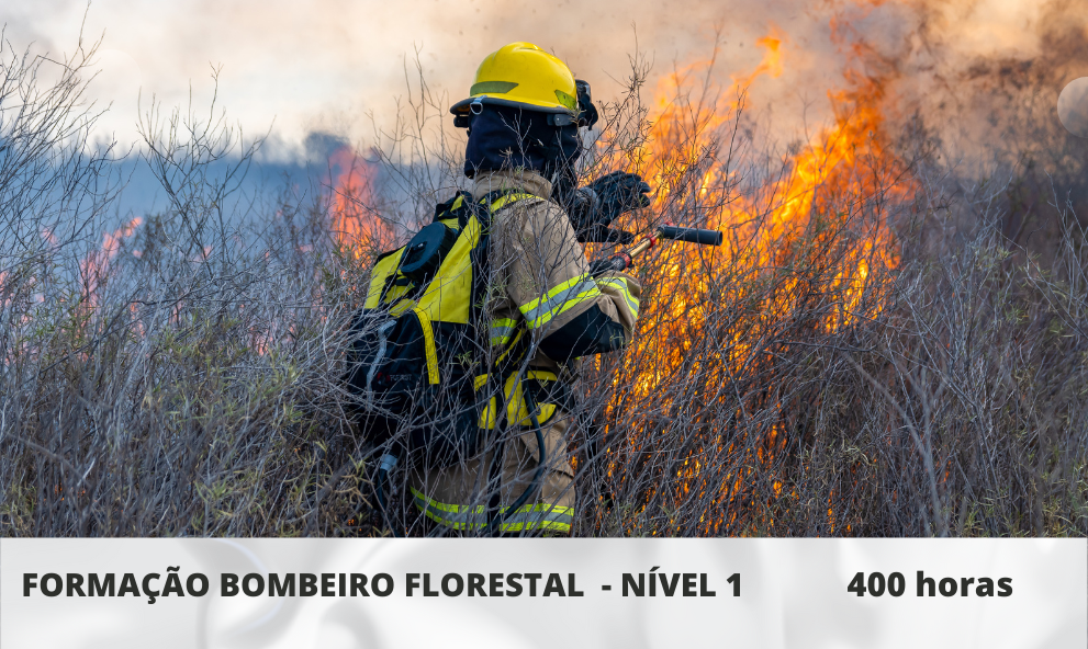 Carreira e Evolução: Como Crescer na Profissão - inspiração 2