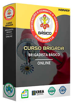 Gerenciamento de Riscos e Evacuação: Segurança em Grande Escala - inspiração 1