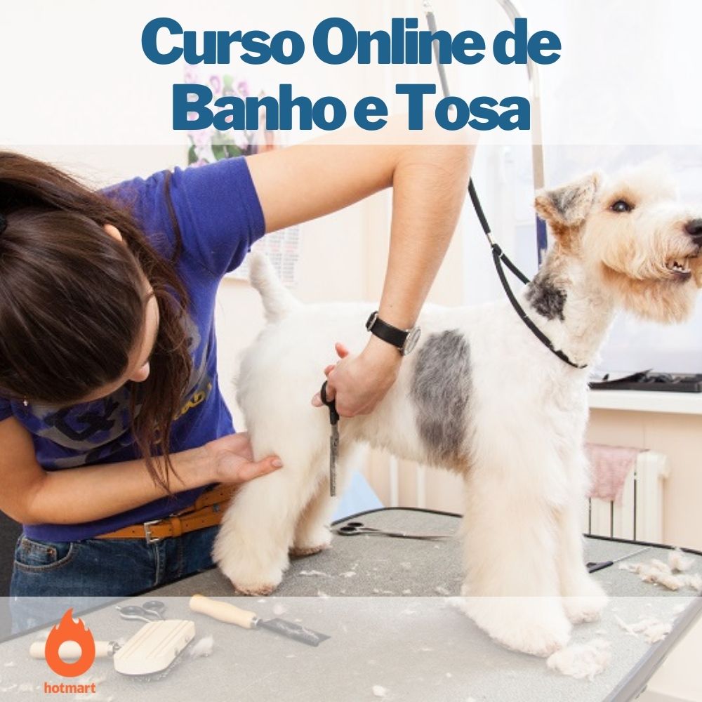 Certificação e Reconhecimento: Seu Passaporte para o Sucesso