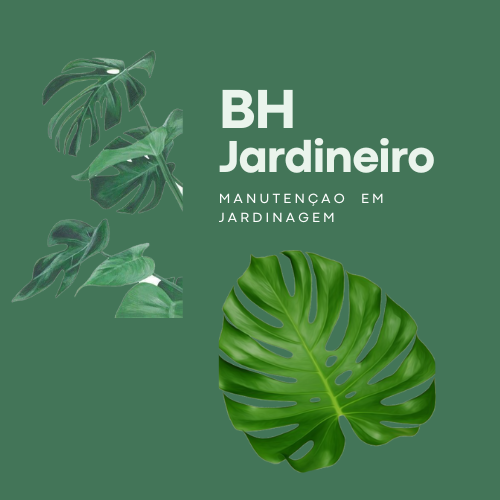 Sustentabilidade Verde: Práticas Ecológicas no Jardim - inspiração 1