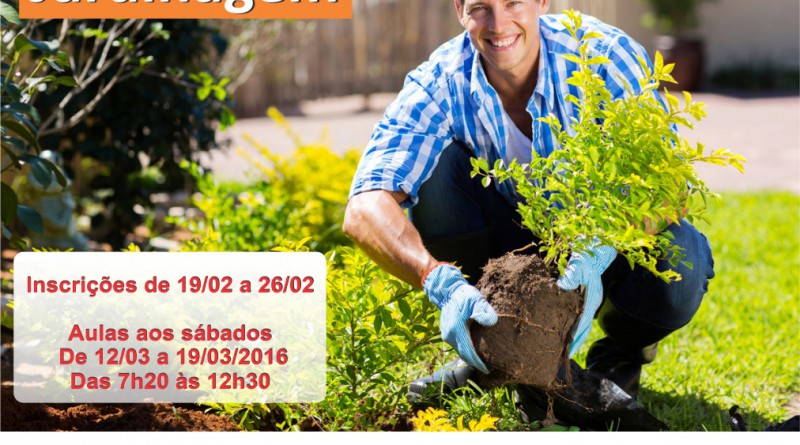 Escolhendo as Plantas Certas para o Clima Mineiro - inspiração 2