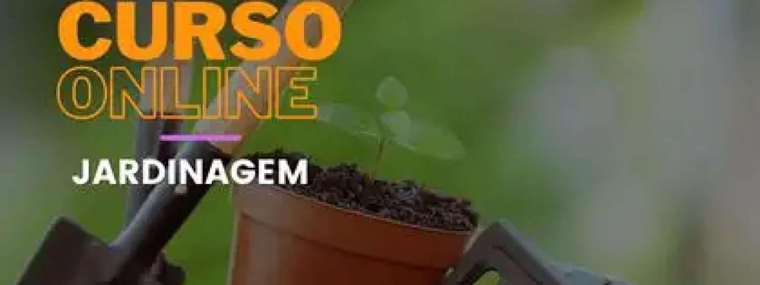 A Importância da Água: Irrigação Eficiente - inspiração 1