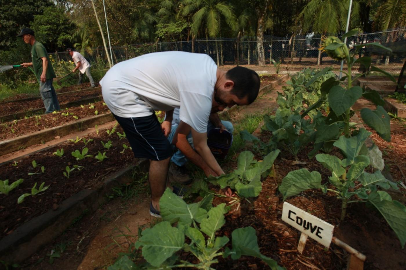 Ferramentas Indispensáveis para o Jardineiro - inspiração 2