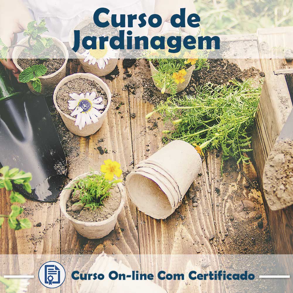 Identificando Plantas Certas para Cada Ambiente - inspiração 2