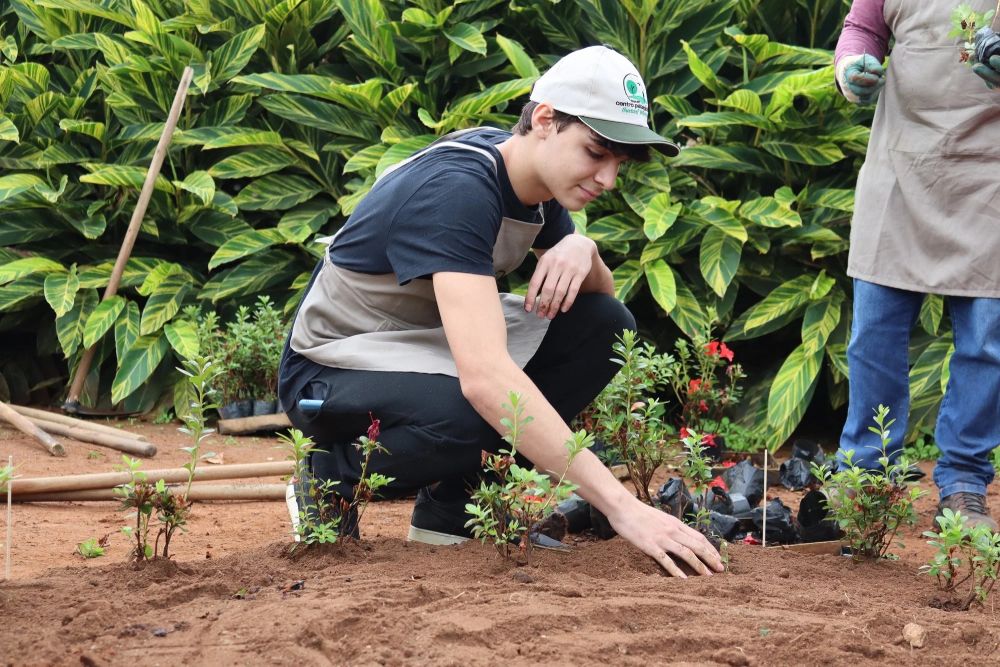 O Poder da Poda: Formando Suas Plantas - inspiração 2