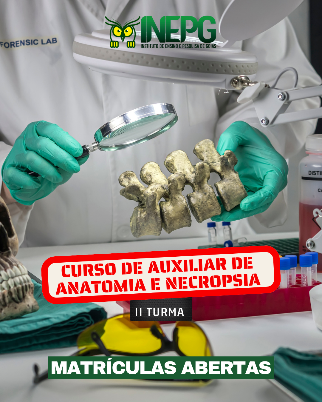 Mercado de Trabalho e Salários: Seus Horizontes Profissionais