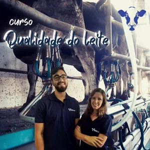 Contagem de Células Somáticas: O Que Isso Significa para Você? - inspiração 1