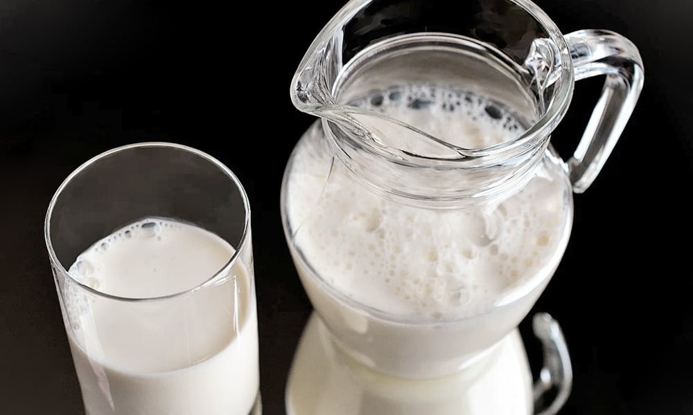 Como Bactérias Podem Comprometer a Nutrição e o Sabor - inspiração 2