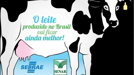 A Diferença Entre Leite de Alta e Baixa Qualidade: Um Comparativo Visual - inspiração 2