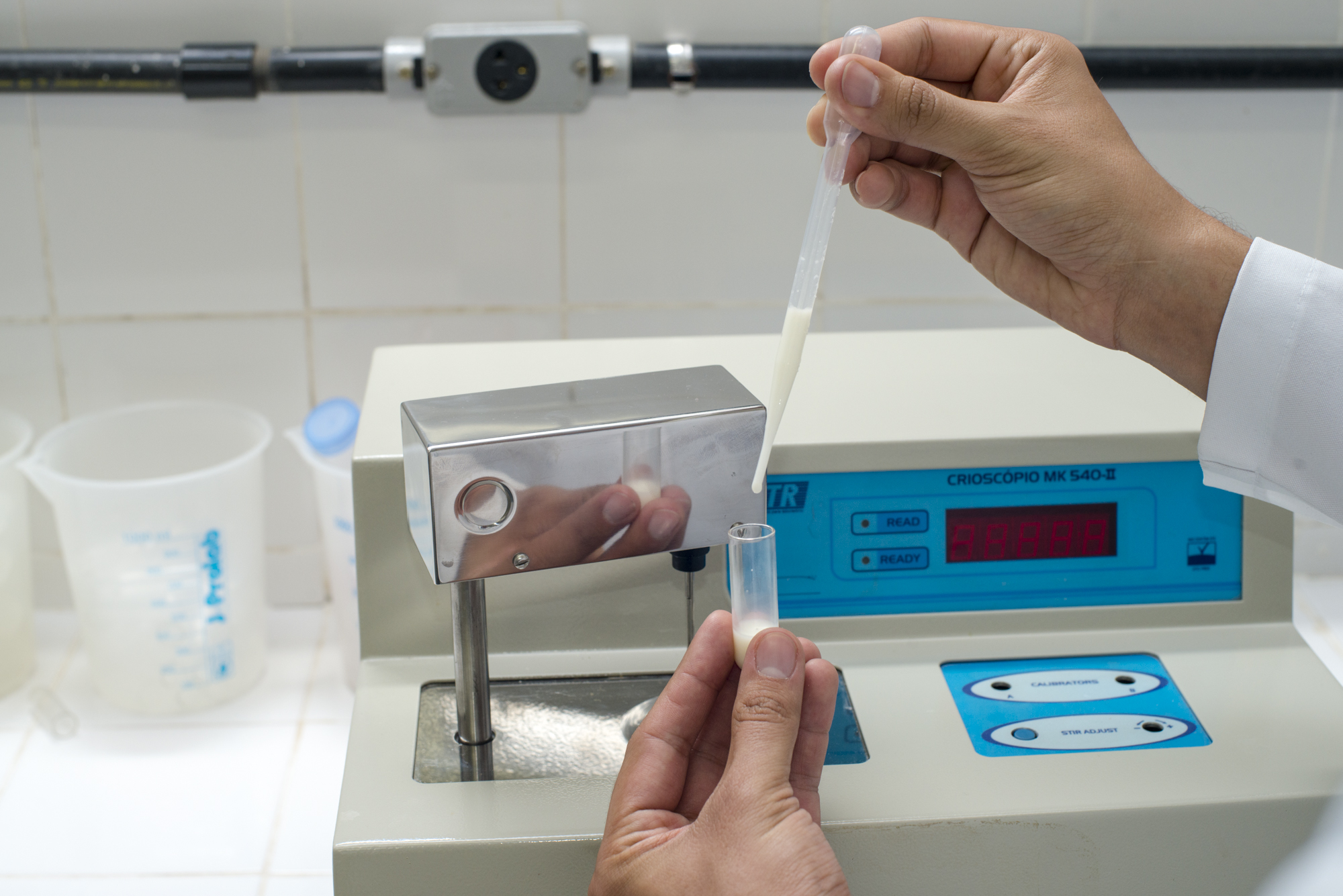 Impacto da Alimentação do Animal na Composição do Leite - inspiração 1