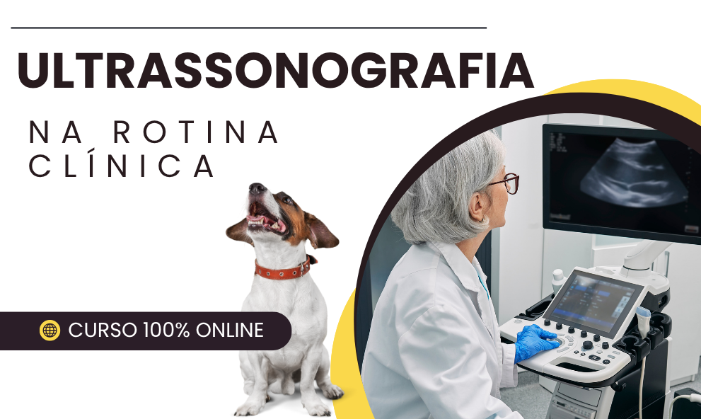 Técnicas de Transdução e Aquisição de Imagem: Dominando os Conceitos - inspiração 1