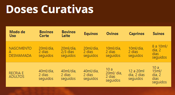 Organizando Seu Espaço de Estudo: Criando um Ambiente Produtivo - inspiração 2