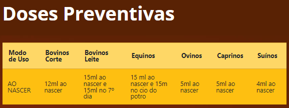 Estabelecendo uma Rotina de Estudos: Consistência é a Chave - inspiração 1
