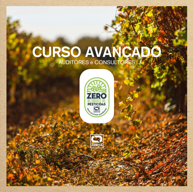 Networking e Comunidade: Aprendendo com Outras Pessoas - inspiração 1