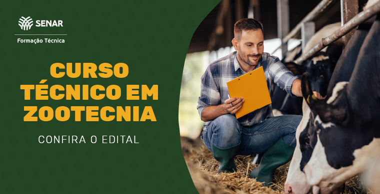 Habilidades Essenciais que o Curso Desenvolve - inspiração 2