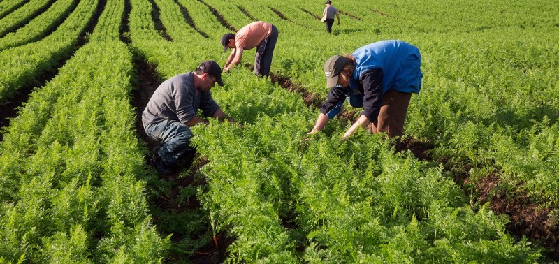 Volatilidade de Preços: Protegendo Seu Ganho