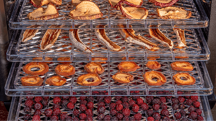 Armazenamento Correto dos Alimentos Desidratados: Mantenha a Qualidade - inspiração 1