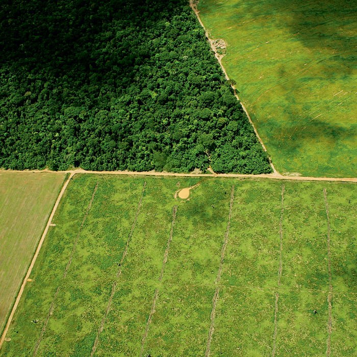 A real dimensão da agricultura familiar brasileira e seu uso da terra - inspiração 1