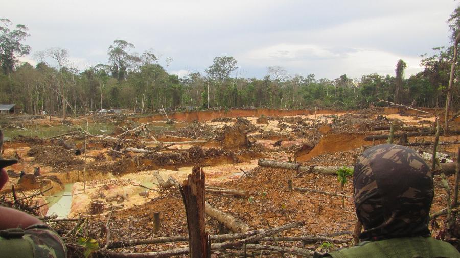 O futuro da agricultura familiar: produtividade com respeito à natureza - inspiração 2