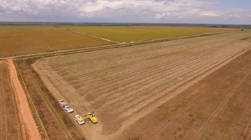Por que o desmatamento acontece? Entendendo as causas na prática - inspiração 2