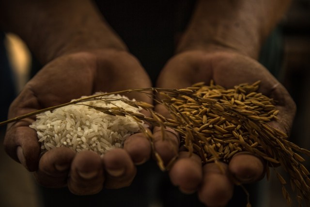 O impacto direto: como a expansão da lavoura afeta ecossistemas - inspiração 1