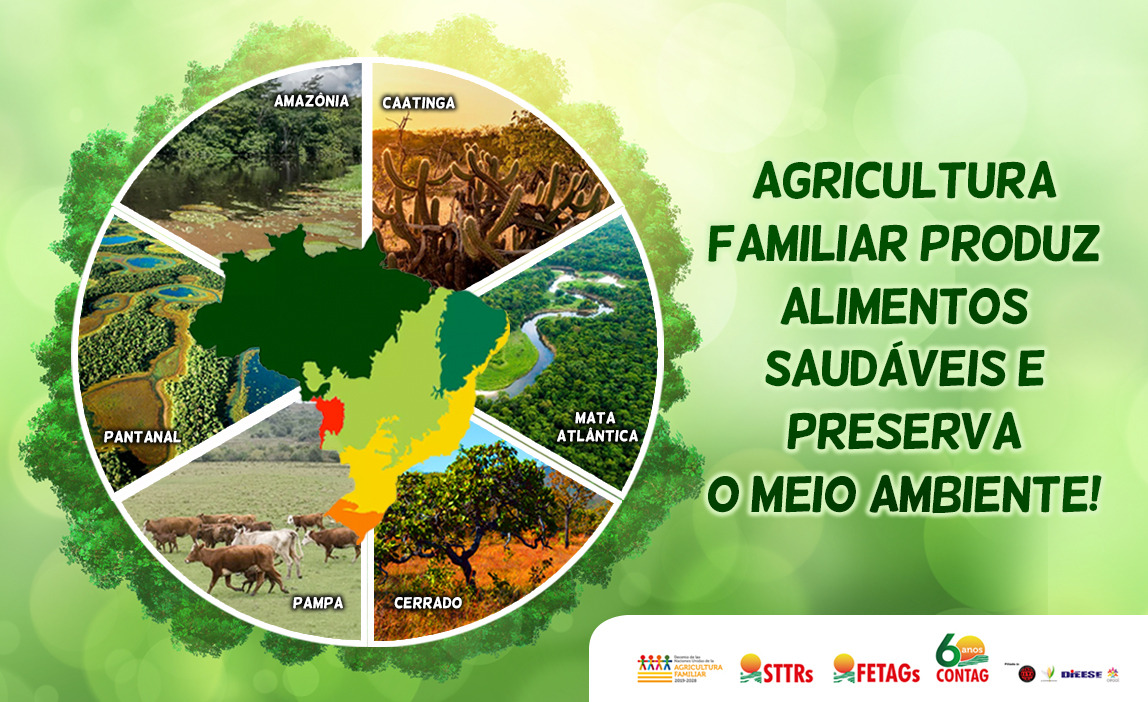 Desmatamento zero: o que significa para o pequeno produtor? - inspiração 1