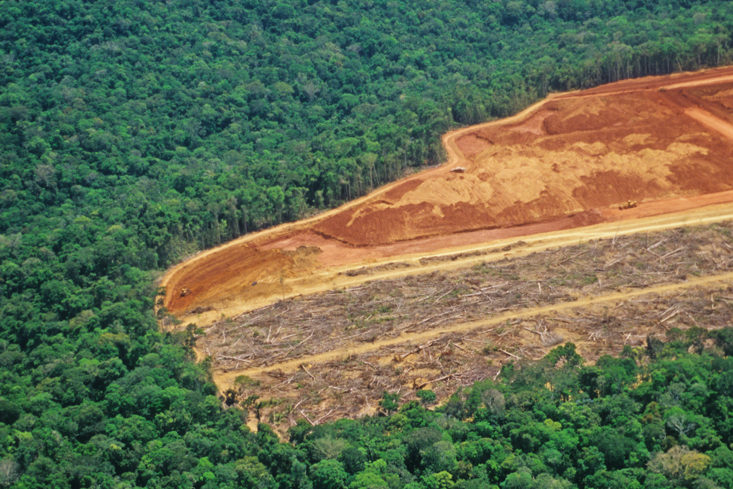 Práticas sustentáveis: alternativas que dão certo no campo - inspiração 1
