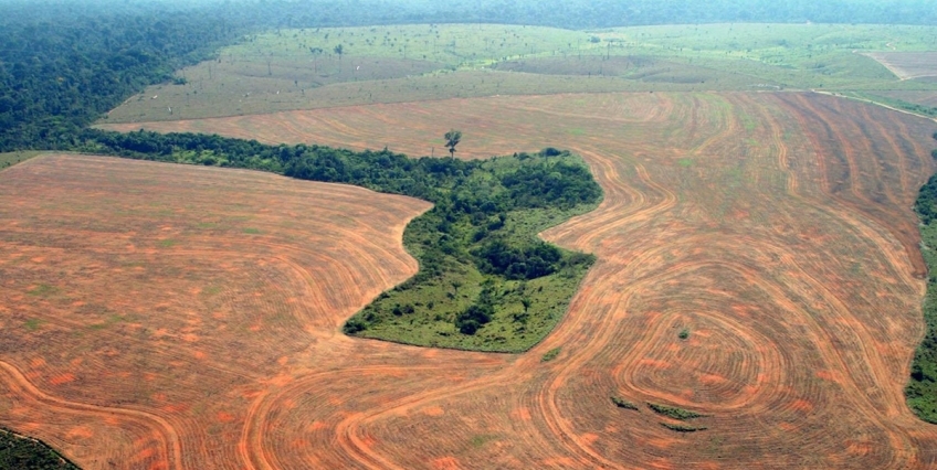 Incentivos e políticas públicas: o que realmente funciona? - inspiração 1