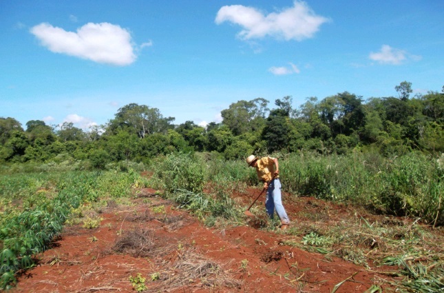 Incentivos e políticas públicas: o que realmente funciona? - inspiração 2