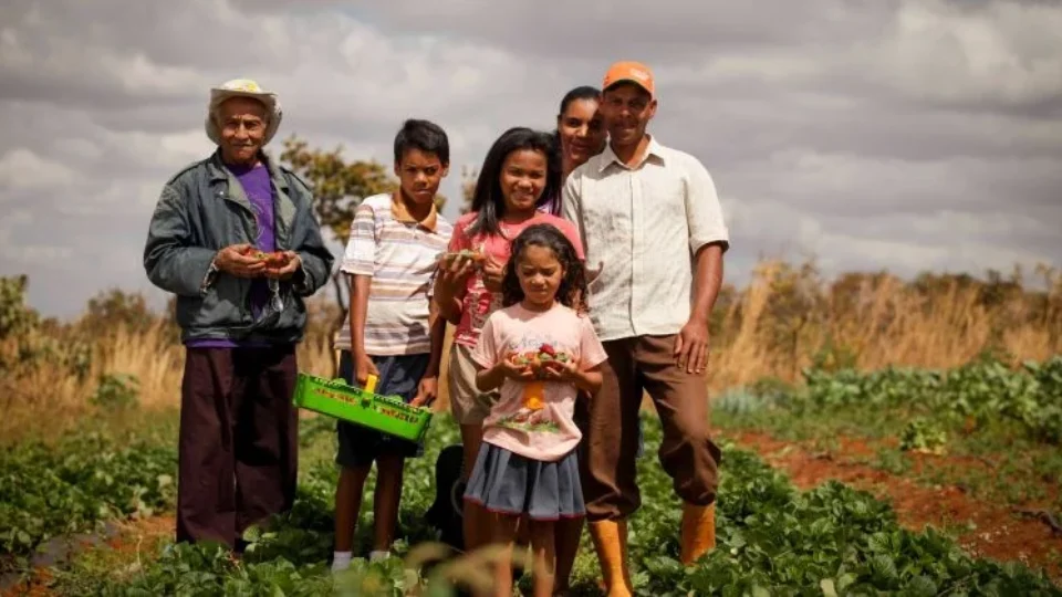 Tecnologia a favor: ferramentas para otimizar o espaço sem desmatar - inspiração 2
