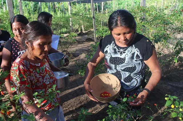 O papel do consumidor: como suas escolhas influenciam o cenário - inspiração 1