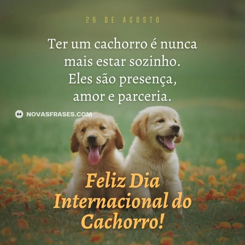 Momentos de Carinho e Relaxamento - inspiração 1