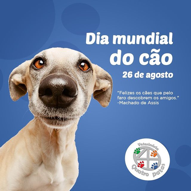 Momentos de Carinho e Relaxamento - inspiração 2