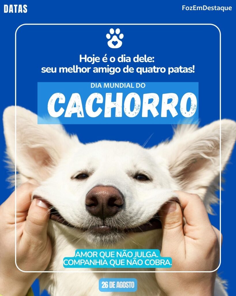 Encontros com Outros Amigos Caninos - inspiração 1