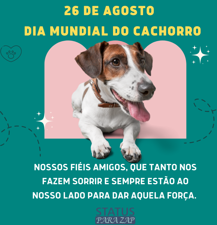 Treinamento Reforçado com Reforço Positivo - inspiração 1