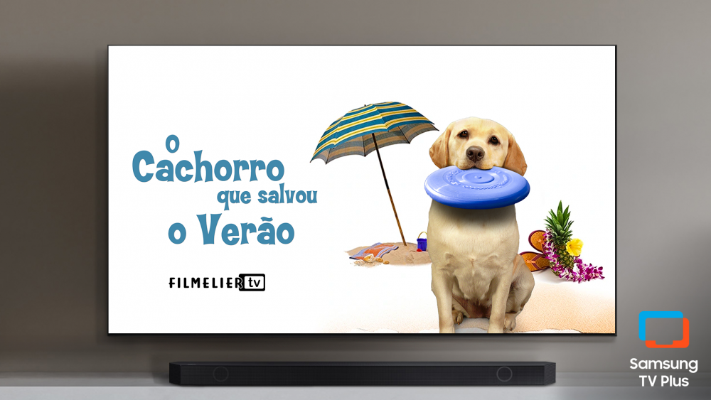 Treinamento Reforçado com Reforço Positivo - inspiração 2