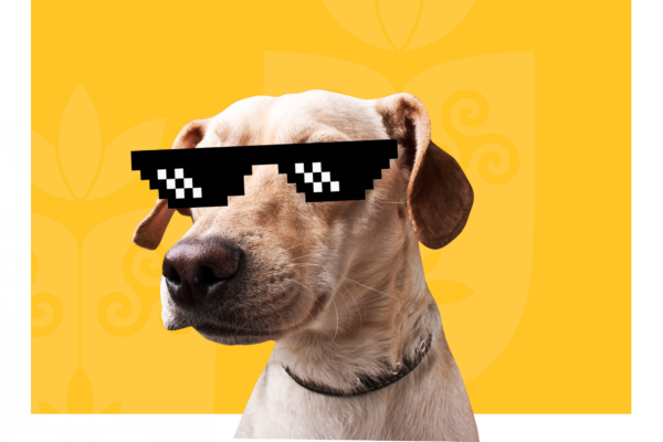 Visita ao Pet Shop para um Banho e Tosa - inspiração 2