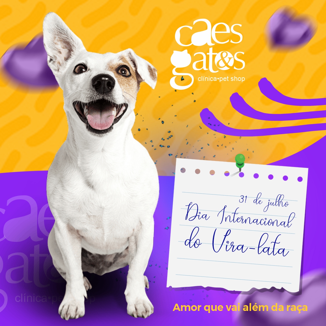 O Vira-Lata Caramelo: Nosso Patrimônio Cultural Informal