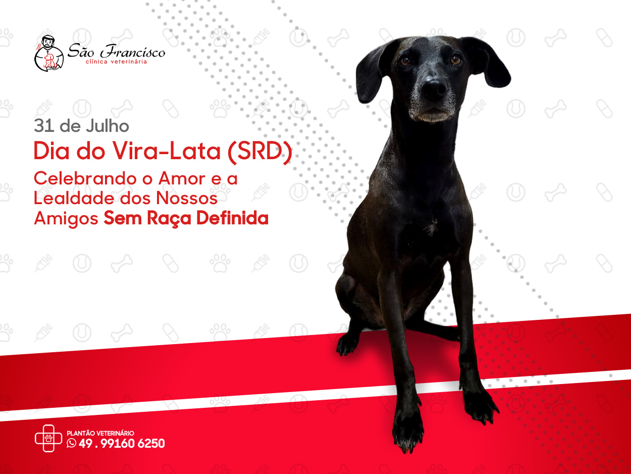 Desafios dos SRDs: A Realidade por Trás da Data