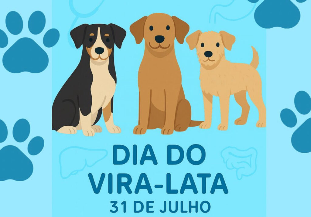 Como Você Pode Fazer a Diferença: Ação Prática no Dia a Dia