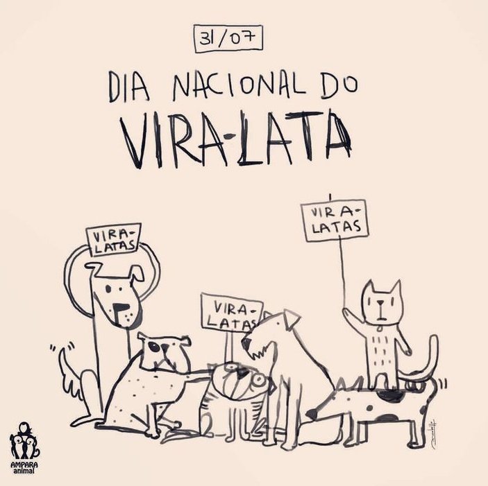 Outras Datas Importantes no Calendário Pet