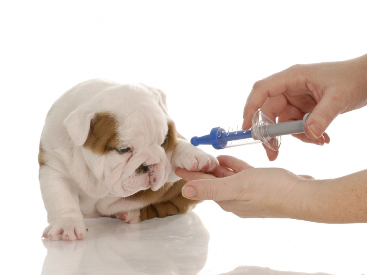 Mudanças Comportamentais e Níveis de Energia - inspiração 1