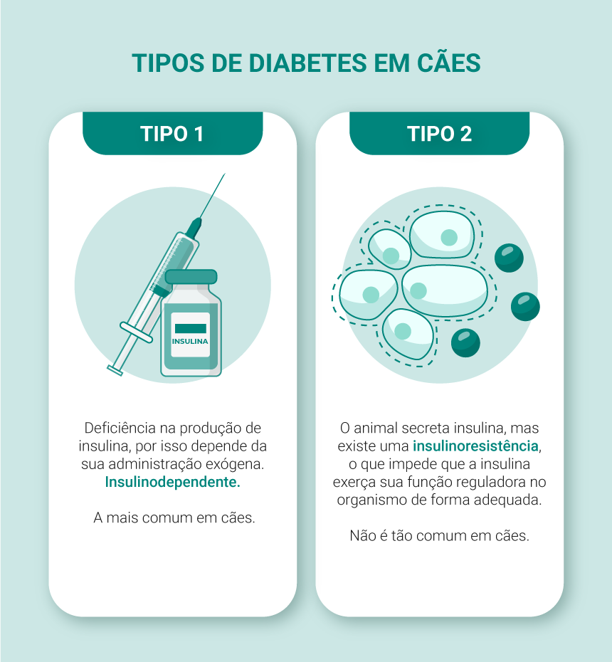 Mudanças Comportamentais e Níveis de Energia - inspiração 2