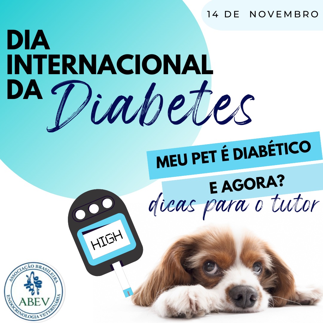 Como o Veterinário Diagnostica a Diabetes - inspiração 2